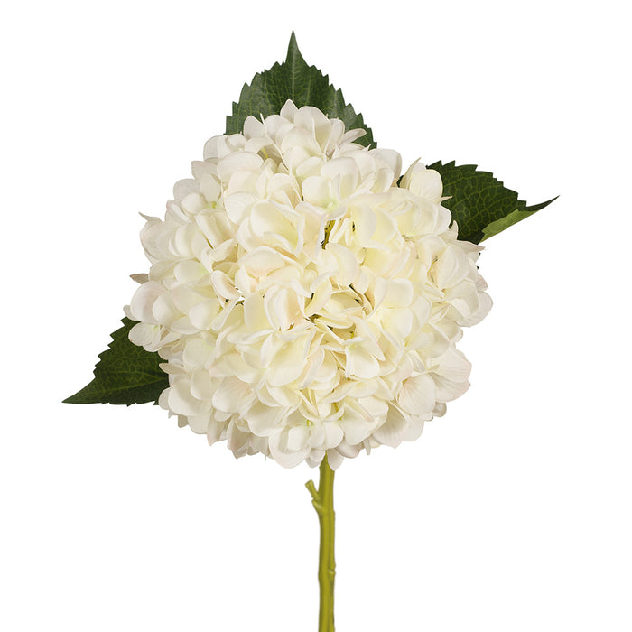 Hydrangea Champagne 48cm Set of 12