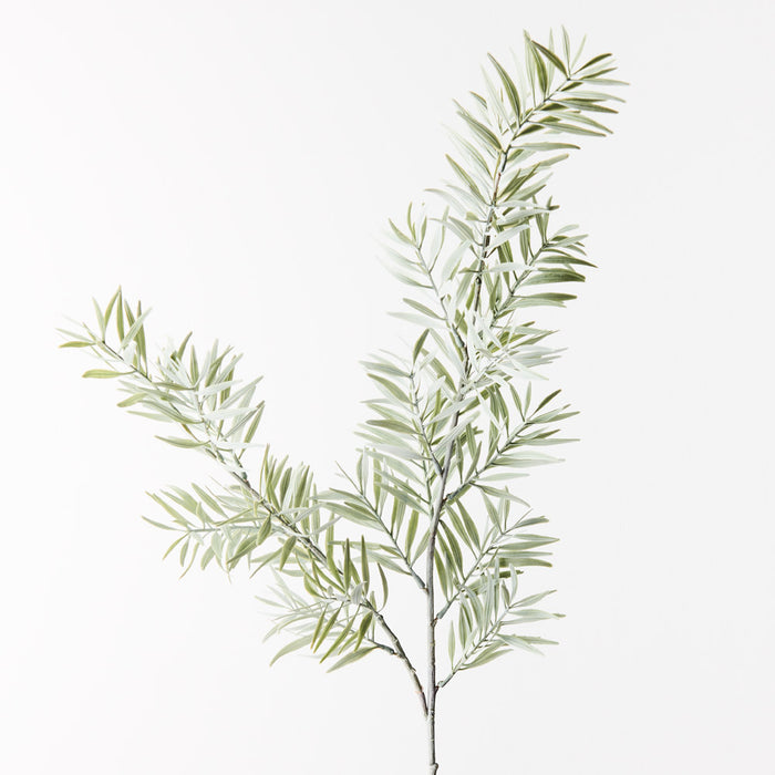 Acacia Leaf Spray Grey 91cm Set of 12
