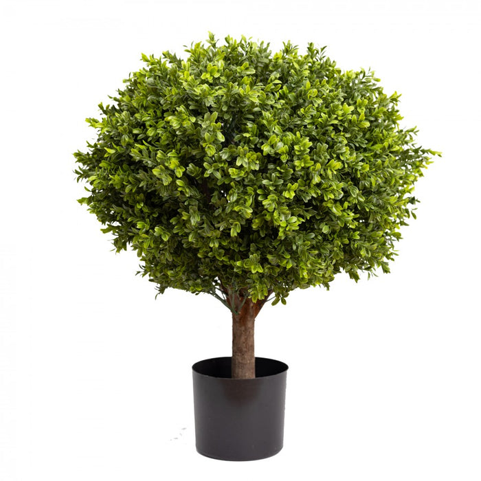 Boxwood Ball In Pot 70cm