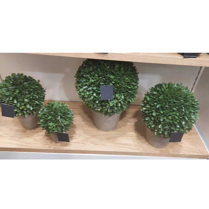 Boxwood Ball in Pot Green 43cm Set of 2