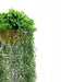 Artificial Hanging Fern Basket 35cmx140cm - FLORA DESIGNS