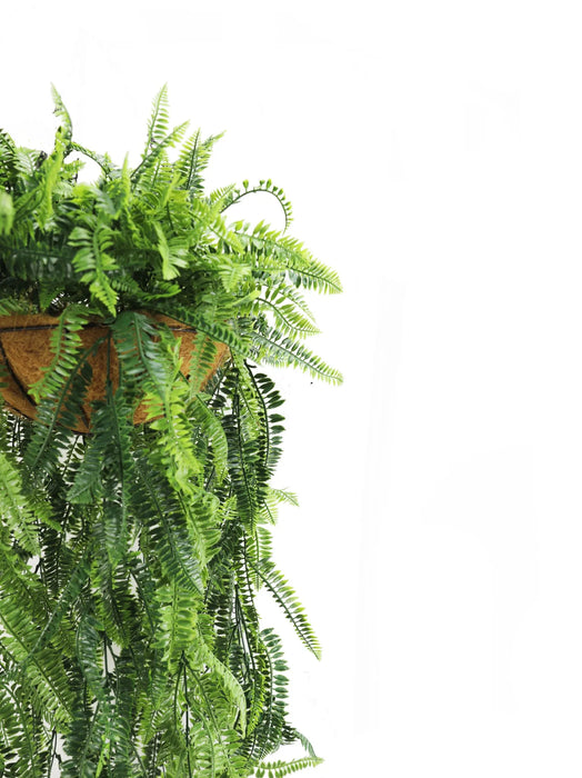 Artificial Hanging Fern Basket 45cmx125cm - FLORA DESIGNS