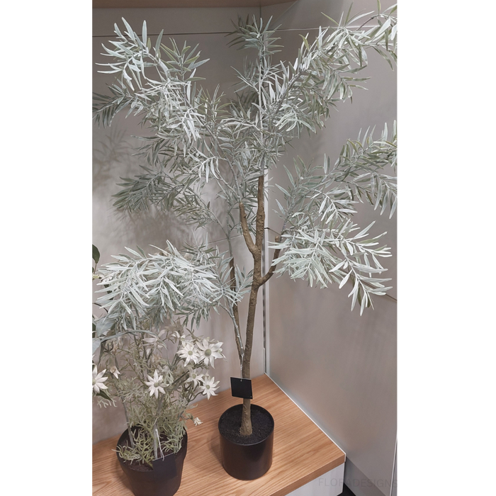 Acacia Tree Grey 122cm Set of 2