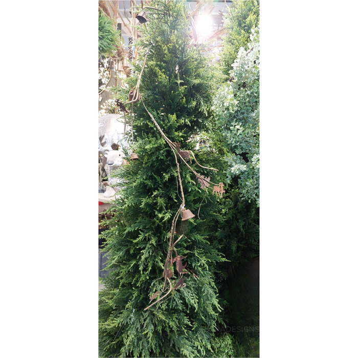 Cypress Pine Tree 200cm