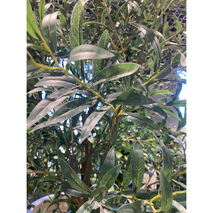 Olive Tree Green Without Fruit Grey 200cm