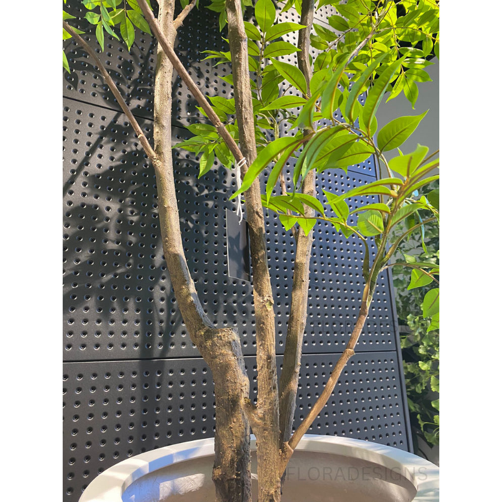 Artificial Japanese Lacquer Tree Green 250cm — Flora Designs Australia
