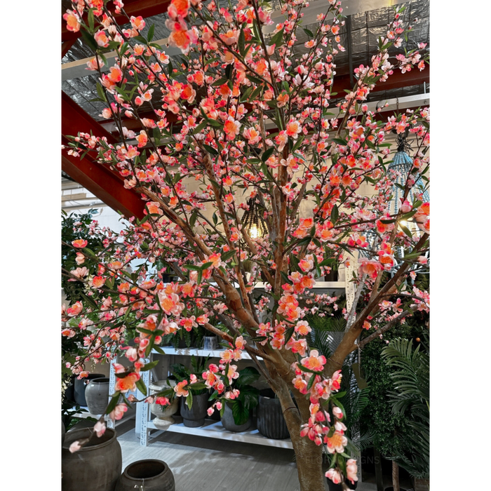 Giant Cherry Blossom Tree 240cm