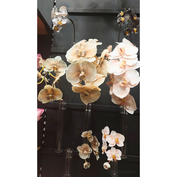 Orchid Phalaenopsis Infused x8 Almond 96cm - Pack of 12