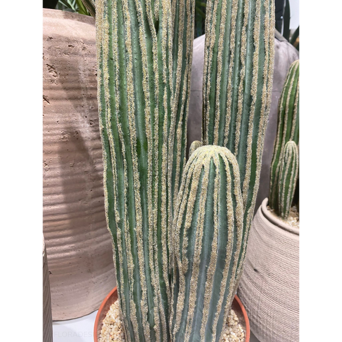 Cactus Column Plant Green Cream 152cm Pack of 2