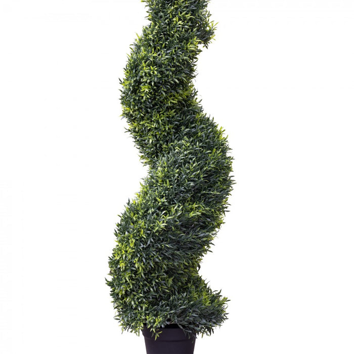 Spiral Rosemary In Pot 120cm