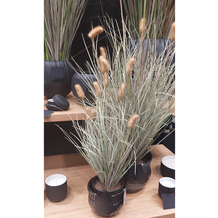 Foxtail Grass Plant Mauve Green 66cm Pack of 2