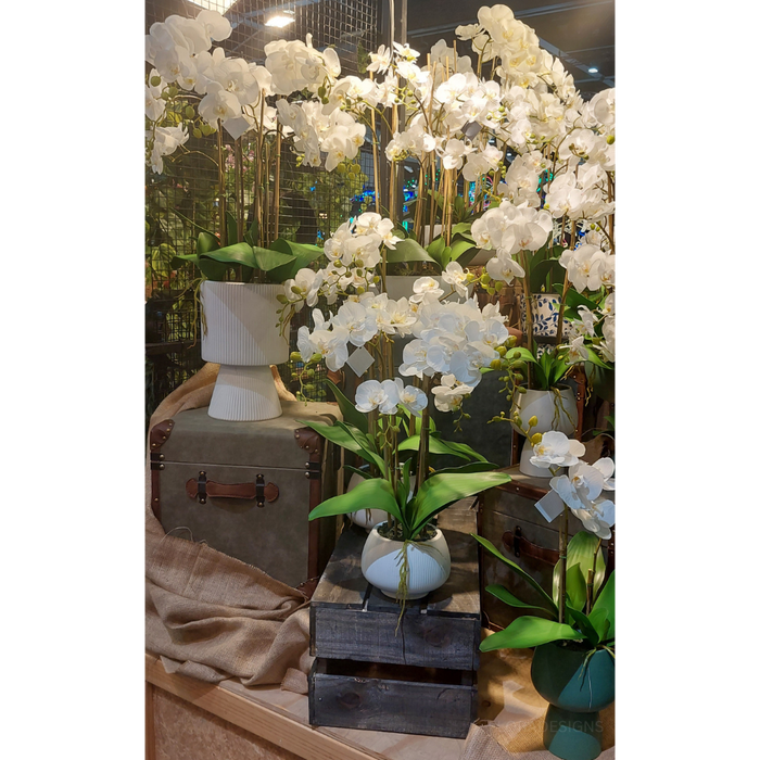 Orchid in White Pedestal Vase 70cm