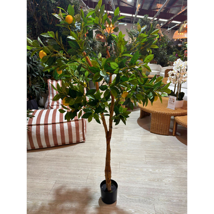Lemon Tree Real Trunk Green 170cm