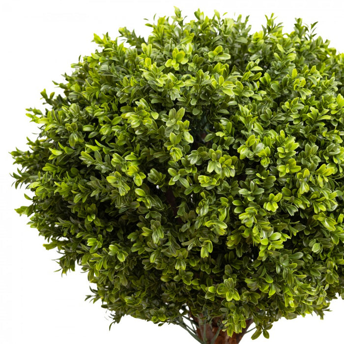 Boxwood Ball In Pot 70cm