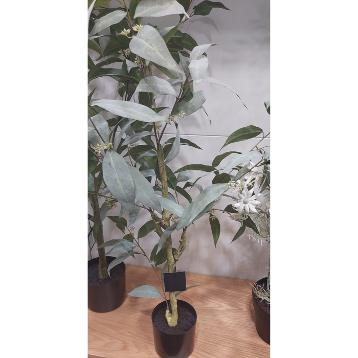 Eucalyptus Tree 90cm Grey Green Set of 2