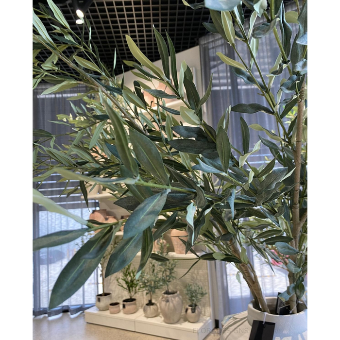 Olive Leaf Branch Green 180cm - Pack of 2