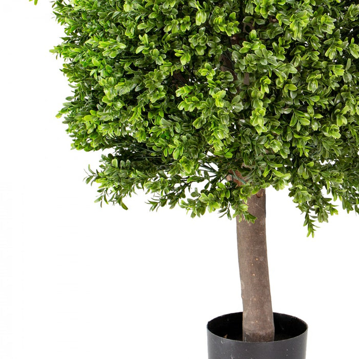 Boxwood Ball In Pot 95cm