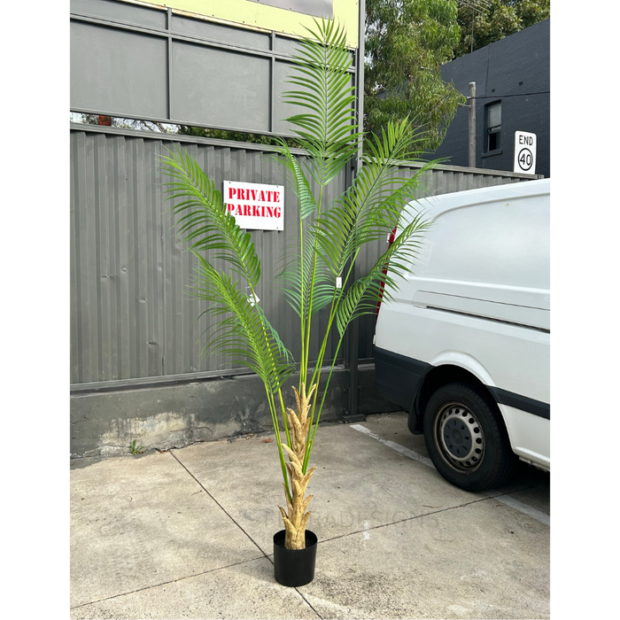 Palm Tree 240cm