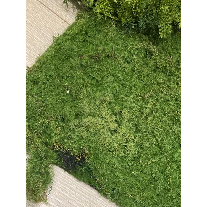 Moss Mat 100cm x 50cm Green Pack of 2