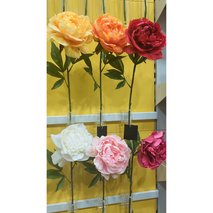 Peony White 63cm Set of 12