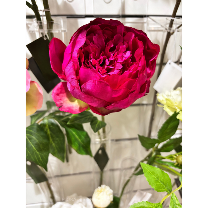 Peony Spray Fuchsia 60cm Pack of 12