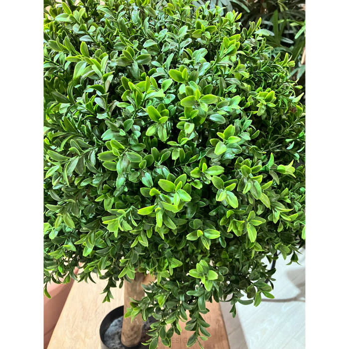 Boxwood Ball Topiary Tree 75cm