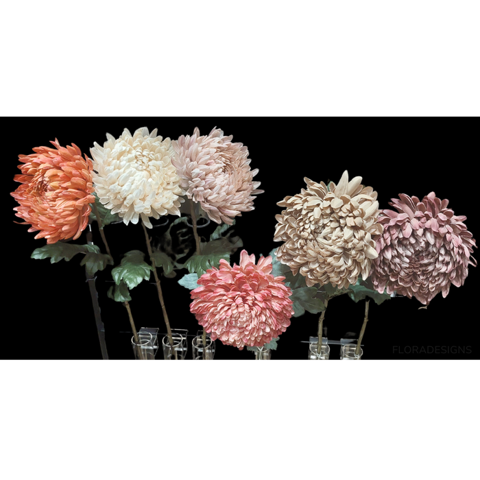 Chrysanthemum Coral 76cm - Pack of 12