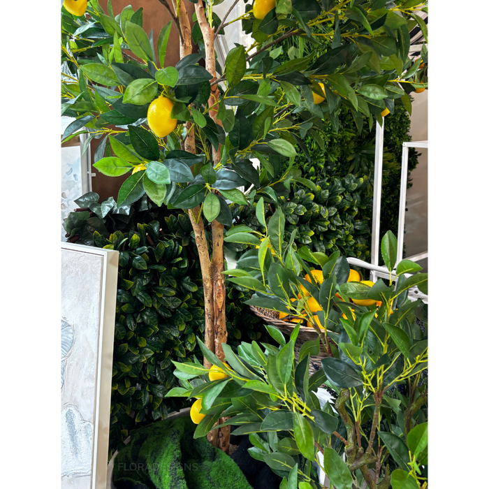 Lemon Tree Real Trunk Green 170cm
