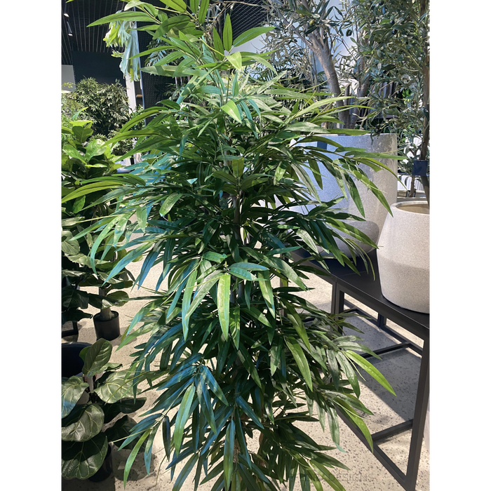 Bamboo Buddha Tree Green 180cm Pack of 2