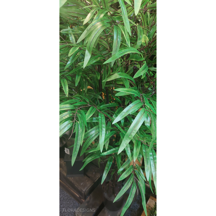 Black Bamboo Tree 110cm