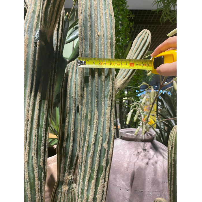 Cactus Column Plant Green Cream 152cm Pack of 2