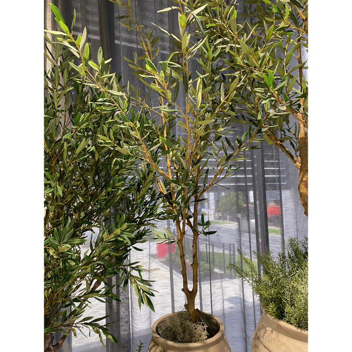 Olive Tree 183cm Grey Green Pack of 2