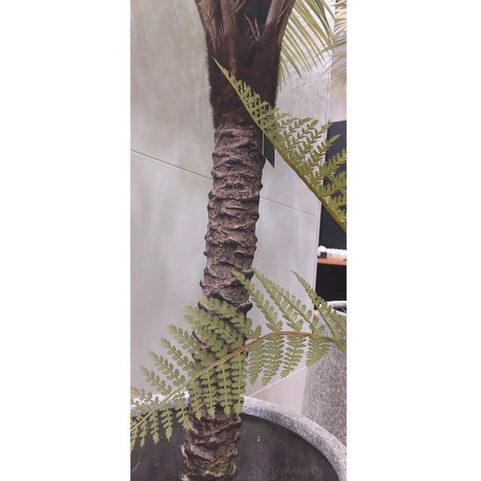 Palm Phoenix Tree Green 174cm Pack of 2