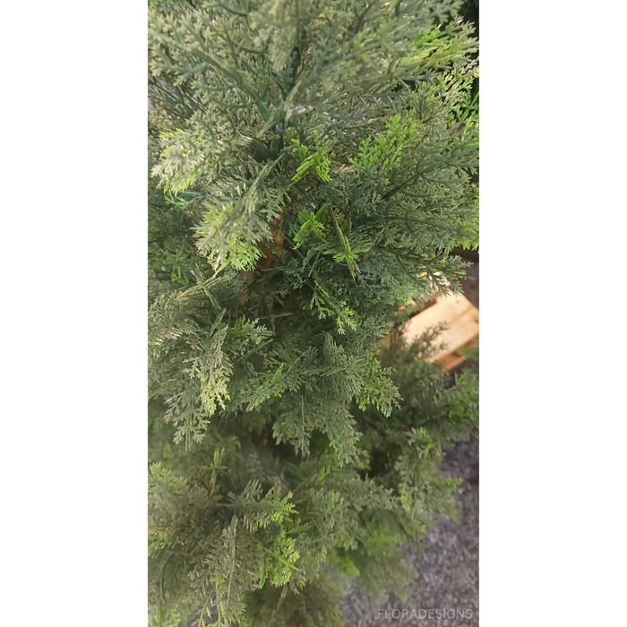 Cypress Pine Tree Green 210cm