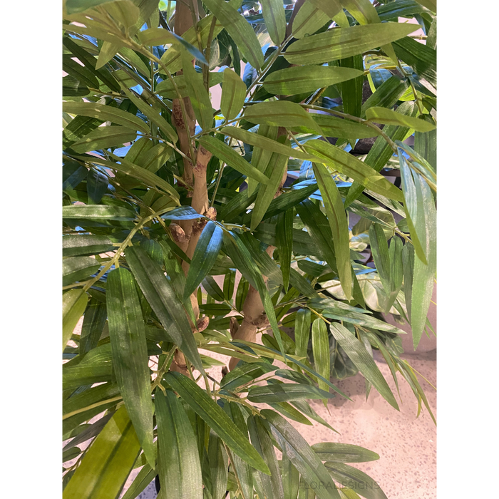 Bamboo Buddha Tree Green 180cm Pack of 2
