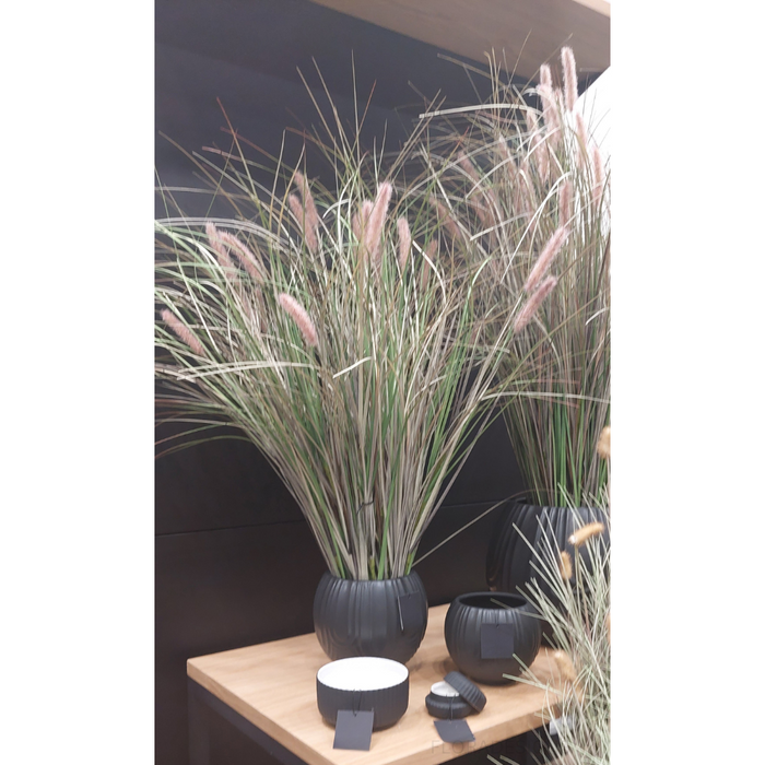 Foxtail Grass Plant Mauve Green 92cm Pack of 2