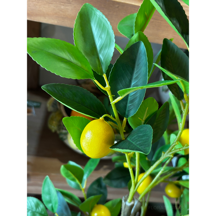 Lemon Tree Real Trunk Green 170cm