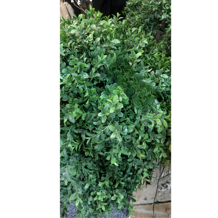 Boxwood Ball Topiary Tree 65cm