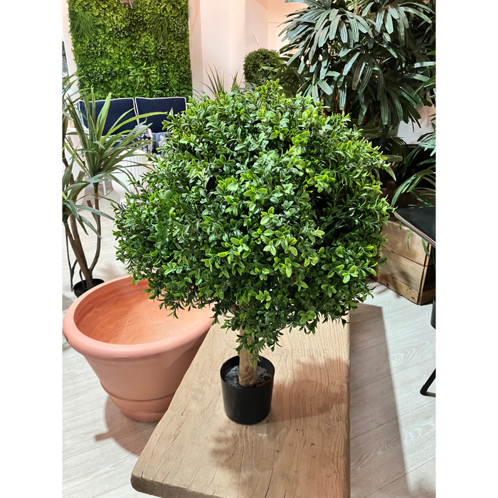 Boxwood Ball Topiary Tree 75cm