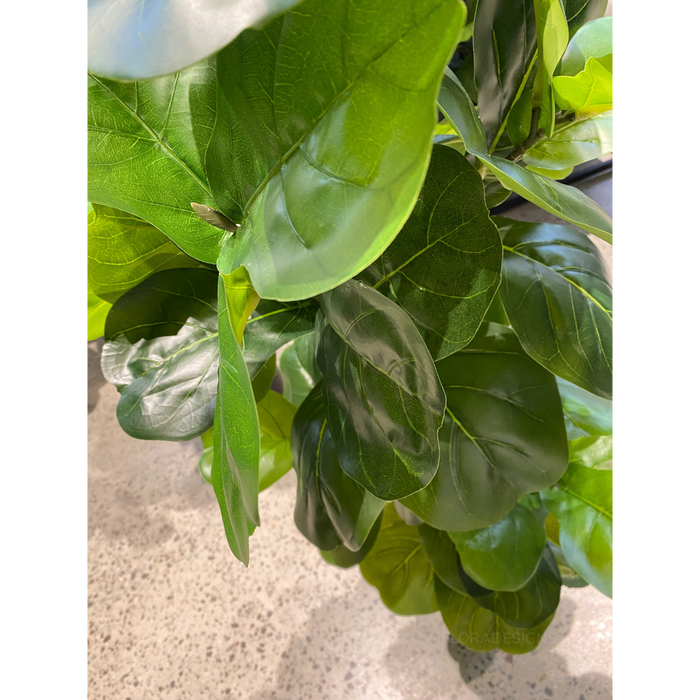 Fiddle Leaf Tree Green 150cm