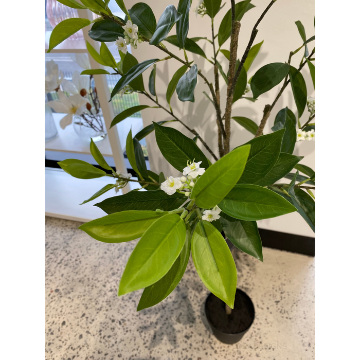 Orange Blossom Tree Green 120cm - Pack of 2- For Clearance