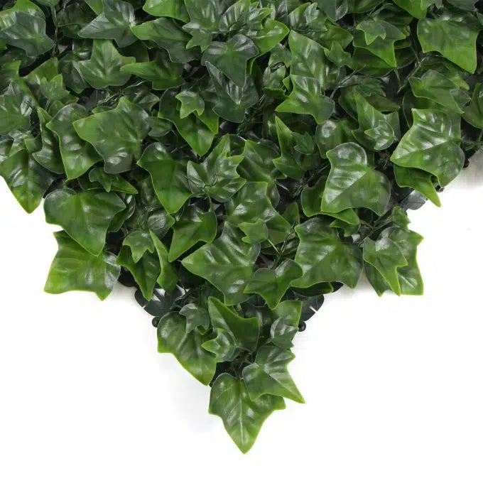 Artificial Variegated Boston Ivy Leaf Screen Green Wall Panel UV Resistant 100cm x 100cm Dense Backing