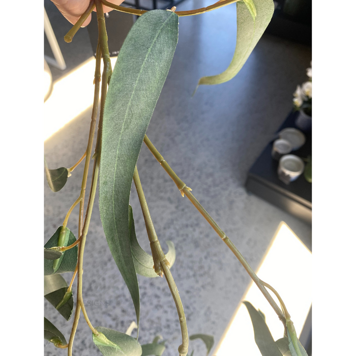 Eucalyptus Long Leaf Spray 96cm Grey Green Pack of 12