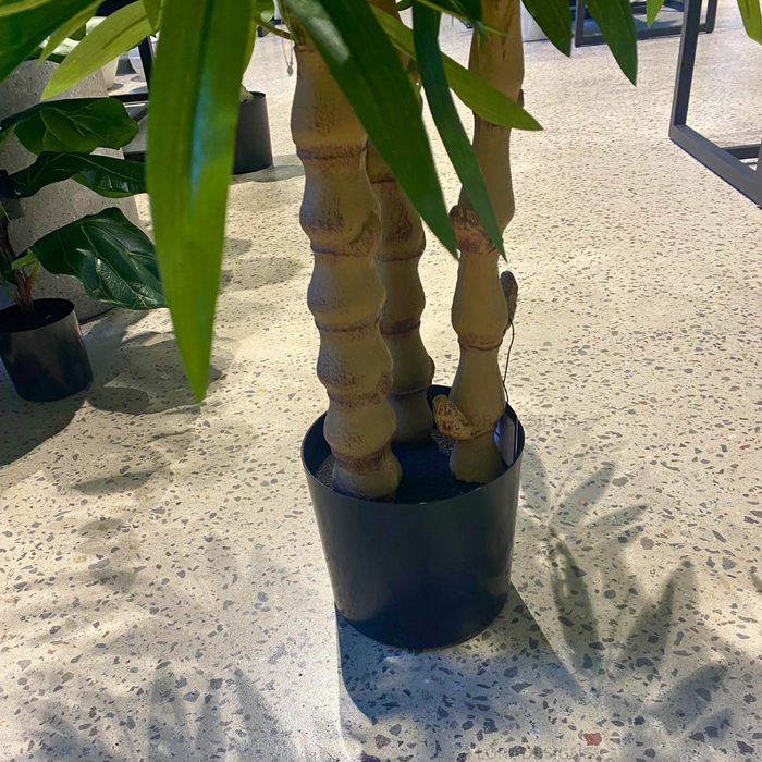 Bamboo Buddha Tree Green 180cm Pack of 2