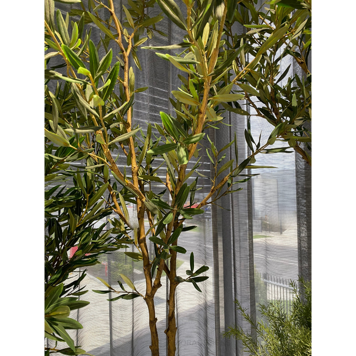 Olive Tree 183cm Grey Green Pack of 2