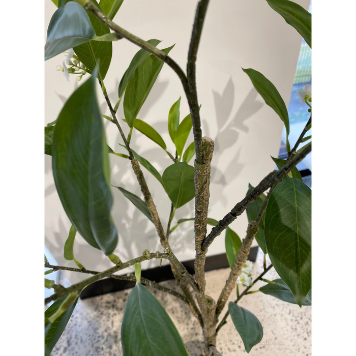 Orange Blossom Tree Green 120cm - Pack of 2- For Clearance