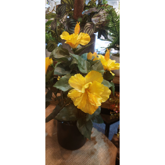 Hibiscus Bush In Pot 42cm Set of 2