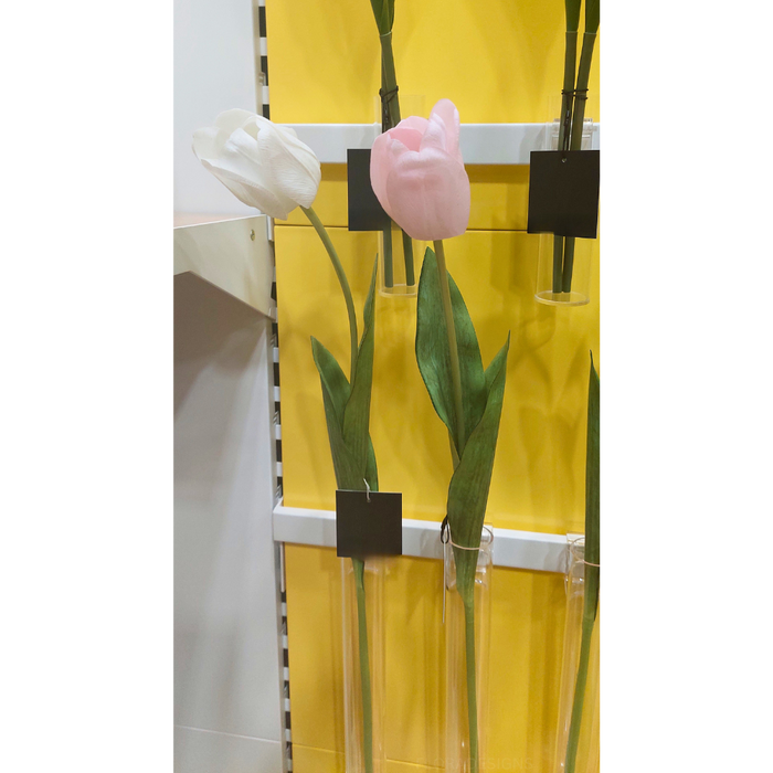 Tulip Light Pink 69cm Pack of 12