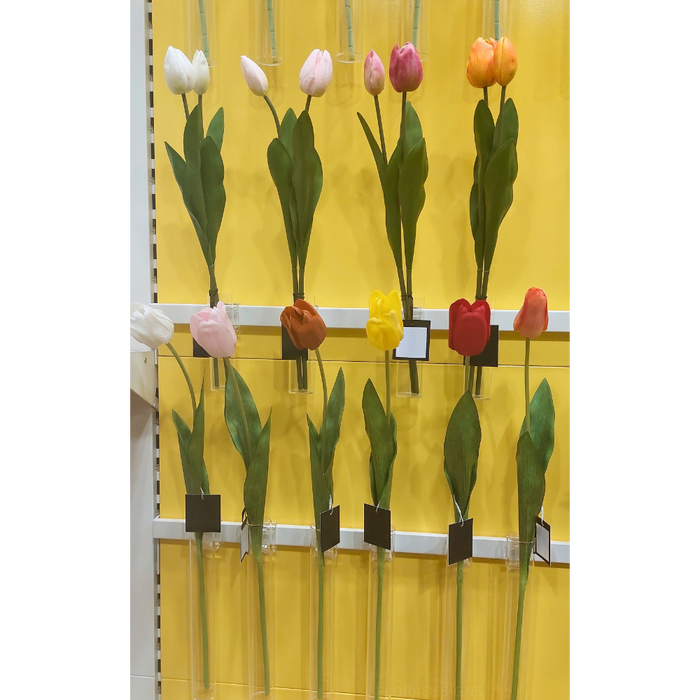 Tulip Bud & Bloom Fuschia 49cm 2 Pieces - Pack of 12