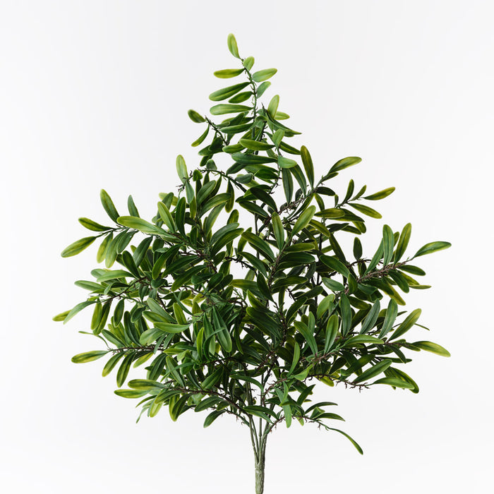 Acacia Leaf Bush Green 53cm Pack of 12